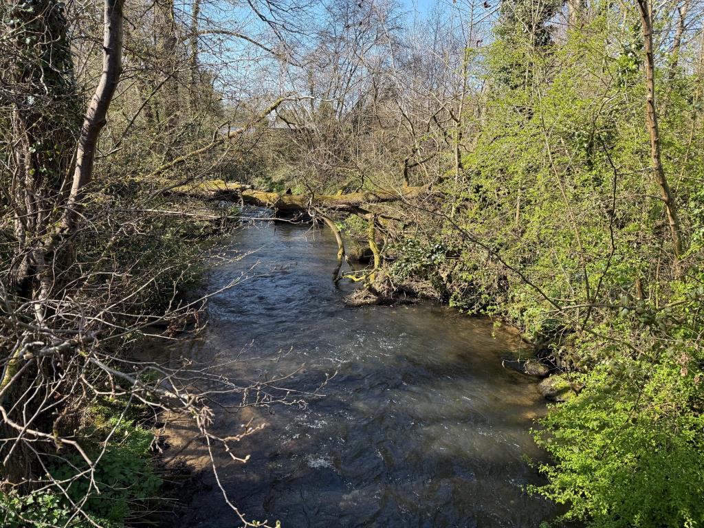 Lot: 63 - LAND WITH POTENTIAL - River Wey from the southern edge of the site.